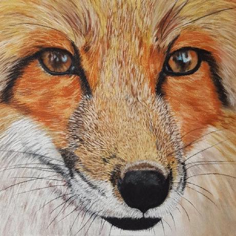 Github Redfox Codder Generative Models Includes Implementation Of - Colorful Wallpaper Collection - Retina Quality