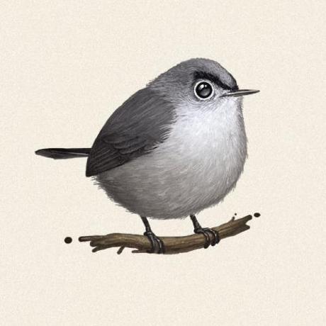 The Empty Interface Issue 425 Go Zh Tour Github - Professional Full HD City Backgrounds | Free Download