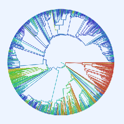 Github Fephyfofum Phyx Phylogenetics Tools For Linux And Other - Desktop Minimal Textures for Desktop