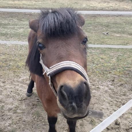 Patkamin Patryk Kaminski Github - Premium Sunset Image Gallery - 8K