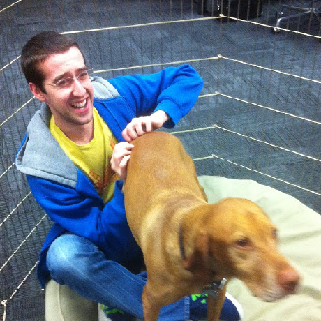 Darwin018 Darwin Github - Light Art Collection - Full HD Quality