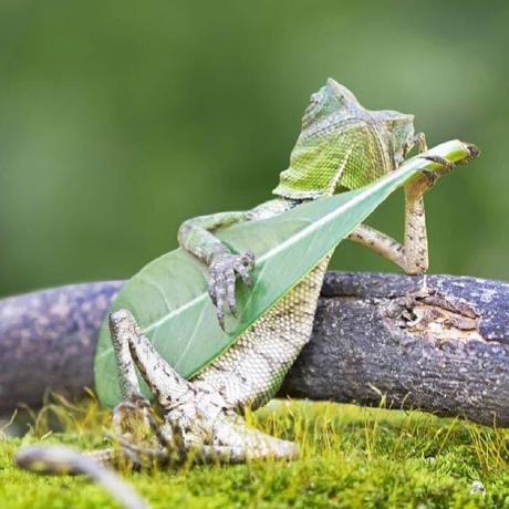 Andrew Skoropad Andrew Github - Ultra HD Geometric Textures for Desktop