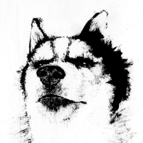 Github Wangyanyanwangyanyan Wangyanyan - HD Colorful Backgrounds for Desktop