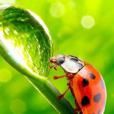 Fengqi Github - Download Amazing Ocean Illustration | HD