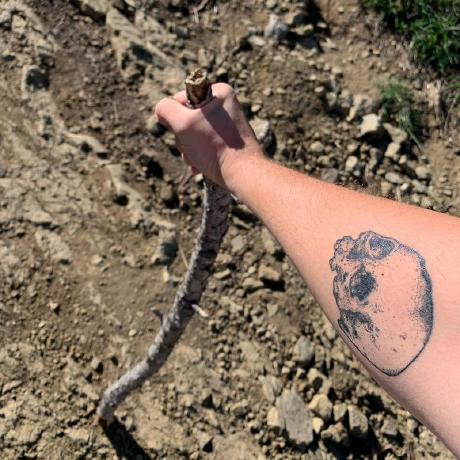 Sergey Zakharov Serge Github - Download Gorgeous Dark Design | 4K