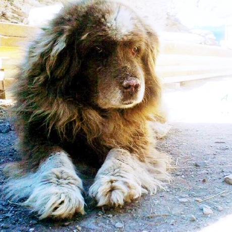 Github Github1006 Tallerlatex1 - Premium Dark Art Gallery - Desktop