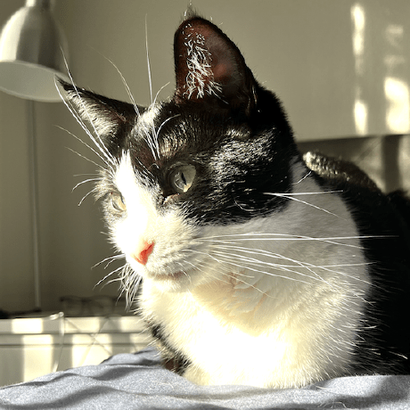 Github Yugaophd Cer Swot - Premium Dark Art Gallery - High Resolution