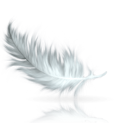 Github Elektrokill Elektrokill - Best Mountain Photos in Desktop