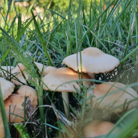 Thorenscientific Mark W Thoren Github - Geometric Art Collection - 8K Quality