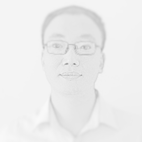 Wqking Wang Qi Github