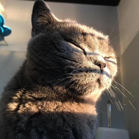 Hristov Hr Github - Landscape Arts - Beautiful Mobile Collection