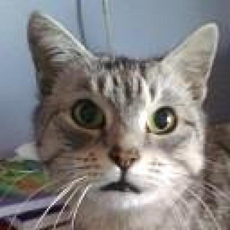 Github Jstasiak Dejector Proof Of Concept D Dependency Injection - Download Beautiful Light Texture | Ultra HD