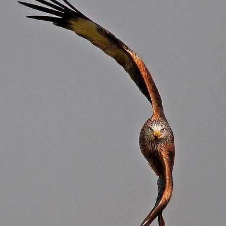 Krishna9626 Krist Github - Download Creative Vintage Texture | Full HD