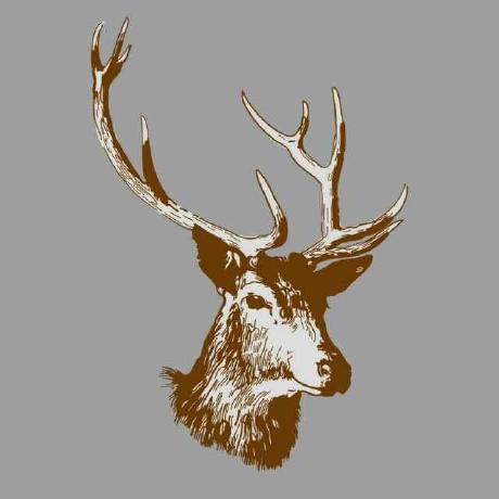 Zander M Zander Mao Github - Space Images - Beautiful Ultra HD Collection