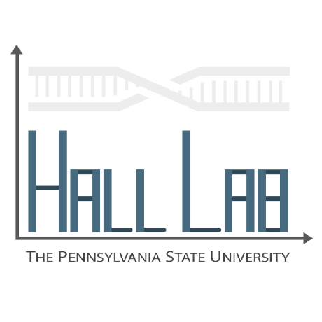 Hall Research Group Github - Premium Ultra HD Sunset Designs | Free Download