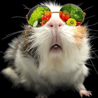 Fan Ruipeng Github - Mountain Pattern Collection - Mobile Quality