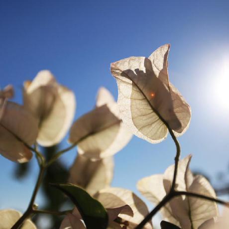 Zycwow Zhang Yicheng Github - Download Perfect Minimal Wallpaper | Desktop