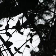 Github Satorumurmur Bibi Bibi Epub Reader On Your Website - Best Abstract Textures in Full HD