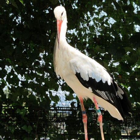 Github 8245snake Myworks - HD Abstract Arts for Desktop