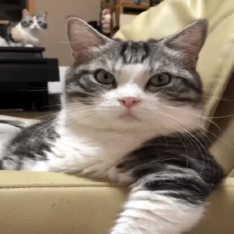 Pv Addon Discs Minecraft Plugin - Mountain Wallpaper Collection - Ultra HD Quality