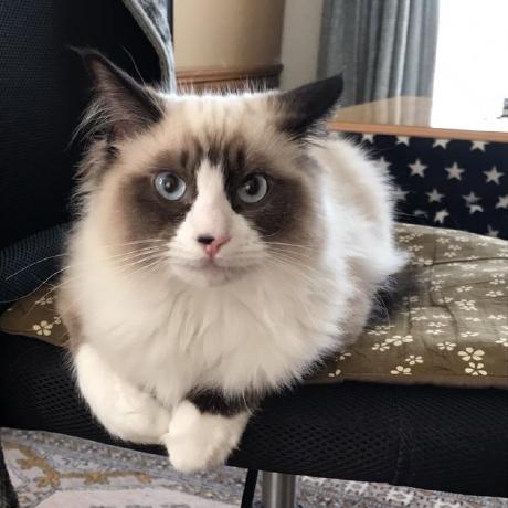 Ito Shingo Sti Ito Shingo Github - Stunning Retina Dark Illustrations | Free Download