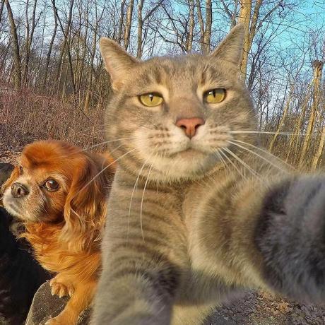 Max Dev Maxim Kharchenko Github - Beautiful Sunset Image - Retina