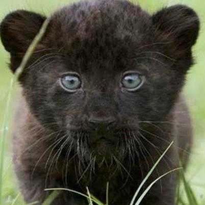 Jagannath Developer A Jagannath Github - Retina City Wallpapers for Desktop