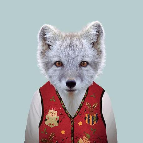 Katlego Stack Katlego Github - Download Artistic Landscape Image | Full HD