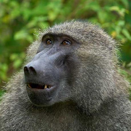 Racc Development Github - Best Mountain Pictures in Desktop