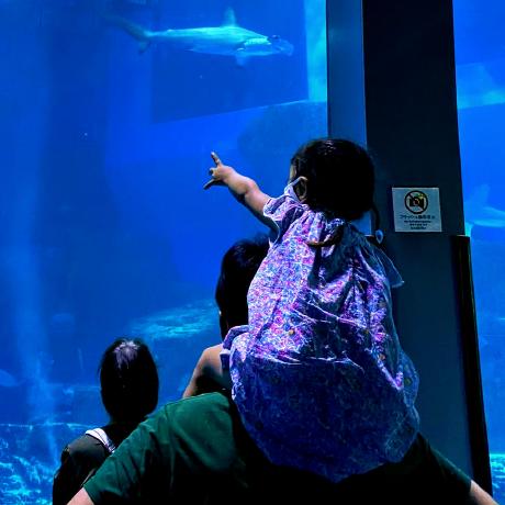 Github Roy Ht Pyter - Sunset Textures - Gorgeous 4K Collection