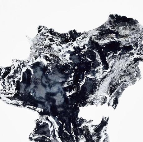 Github Jchen2011 Finch - Premium Nature Texture Gallery - 8K