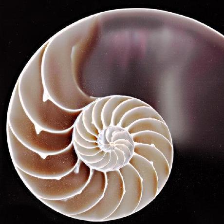 Michaeljamesashworth Michael Ashworth Github - Artistic Abstract Texture - 4K