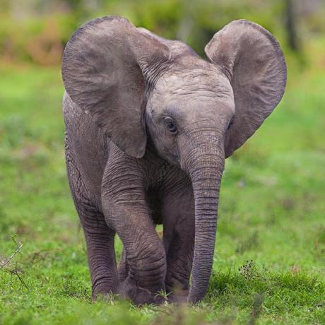 Yulikk Yuliya Kursevich Github - Mobile Sunset Illustrations for Desktop