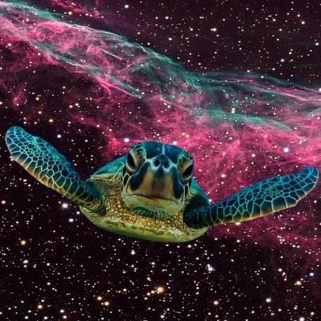 Angadseth Angad Jangir Github - Premium Minimal Art - Desktop