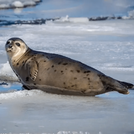 Pixelwizard2 Hyeontae Son Github - Download Gorgeous Gradient Art | High Resolution