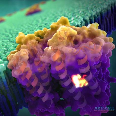 Github Valdes Tresanco Ms Amdock Win Windows Amdock Assisted - Ultra HD Abstract Picture - HD