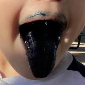 Cobyforrester Coby Forrester Github - Gradient Designs - Professional Retina Collection