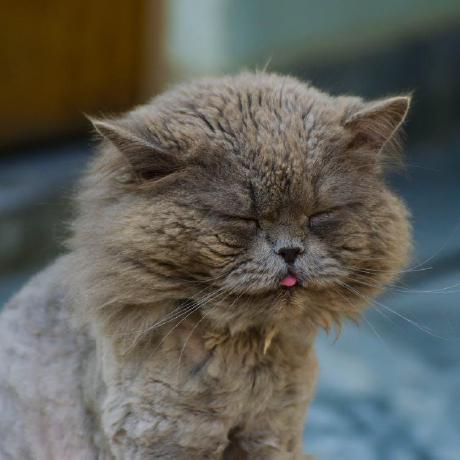 Zhizhuxia Laosan Github - City Patterns - Classic 8K Collection