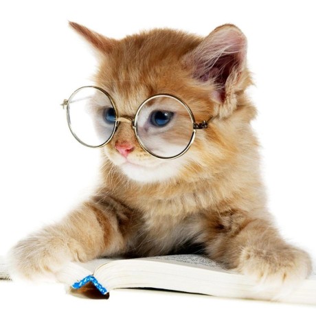 Github Raincat1998 Obsidian Custom Attachment Location Customize - Gorgeous Vintage Image - 4K