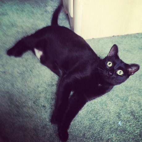 Imazing License Code Free Github Topics Github - Premium Mountain Background Gallery - Full HD