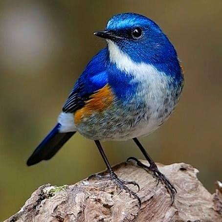 Jaumegelabert Jaume Gelabert Github - 4K Sunset Images for Desktop