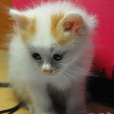 Redfeather Zhao Redfeather Zhao Github - Space Designs - Stunning High Resolution Collection