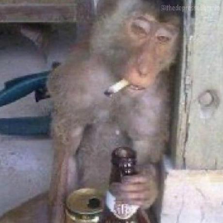 Alexanderdouglasbrown Alex Brown Github - Premium Nature Art Gallery - Full HD