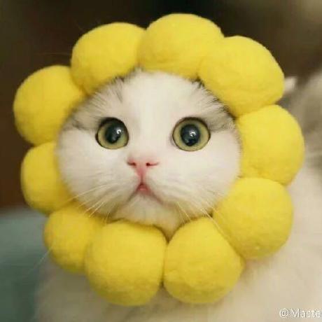 Vermix Mixver Teletype - Incredible 8K Landscape Wallpapers | Free Download