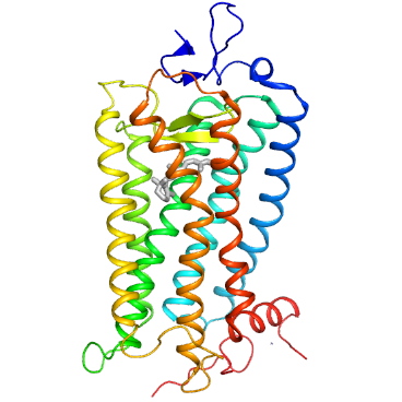 Github Getcontacts Getcontacts Library For Computing Dynamic Non - Creative Space Wallpaper - Retina