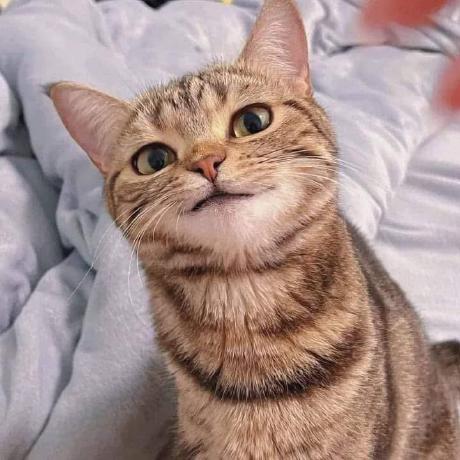 Github Chornthorn Tabler Icons - Gradient Wallpapers - Creative 8K Collection