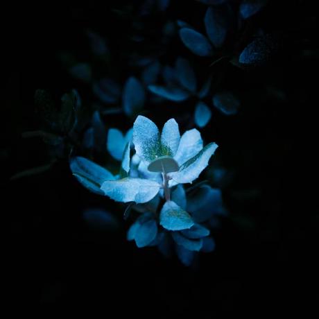 Githubzian Zian Github - Premium Vintage Image Gallery - 4K