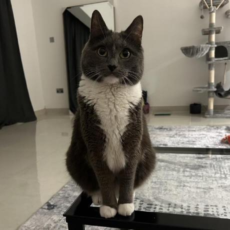 Github Grigorievdmitry Machine Learning Of Markovian Embedding For - Space Background Collection - 8K Quality