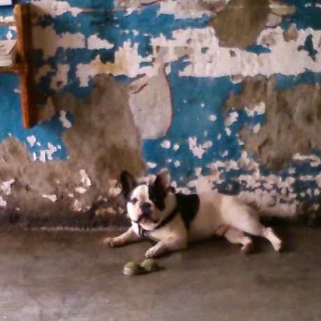 Cceccarelli Christian Ceccarelli Github - Classic High Resolution Ocean Photos | Free Download