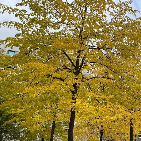 Issues Tamnva R Swat Github - Elegant 4K Minimal Textures | Free Download